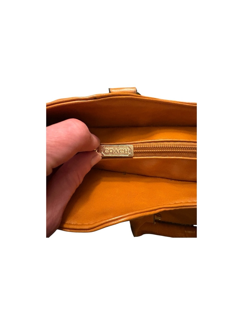 Coach - Picture 6 of 6